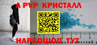 амф Камышлов